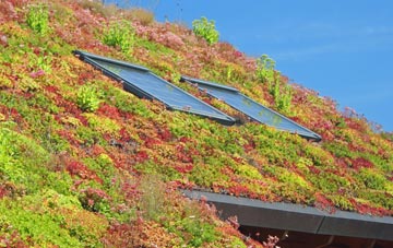Yeoford living roof systems