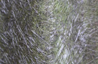 Yeoford fibreglass roof work